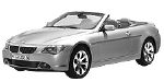 BMW E64 P1E0A Fault Code
